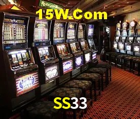 SS33