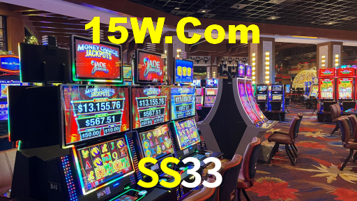Premium Interface SS33
