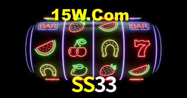 SS33 App Interface