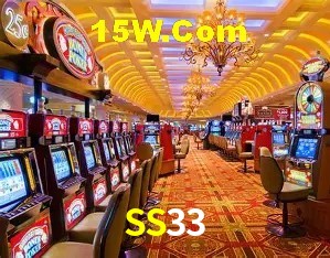 SS33
